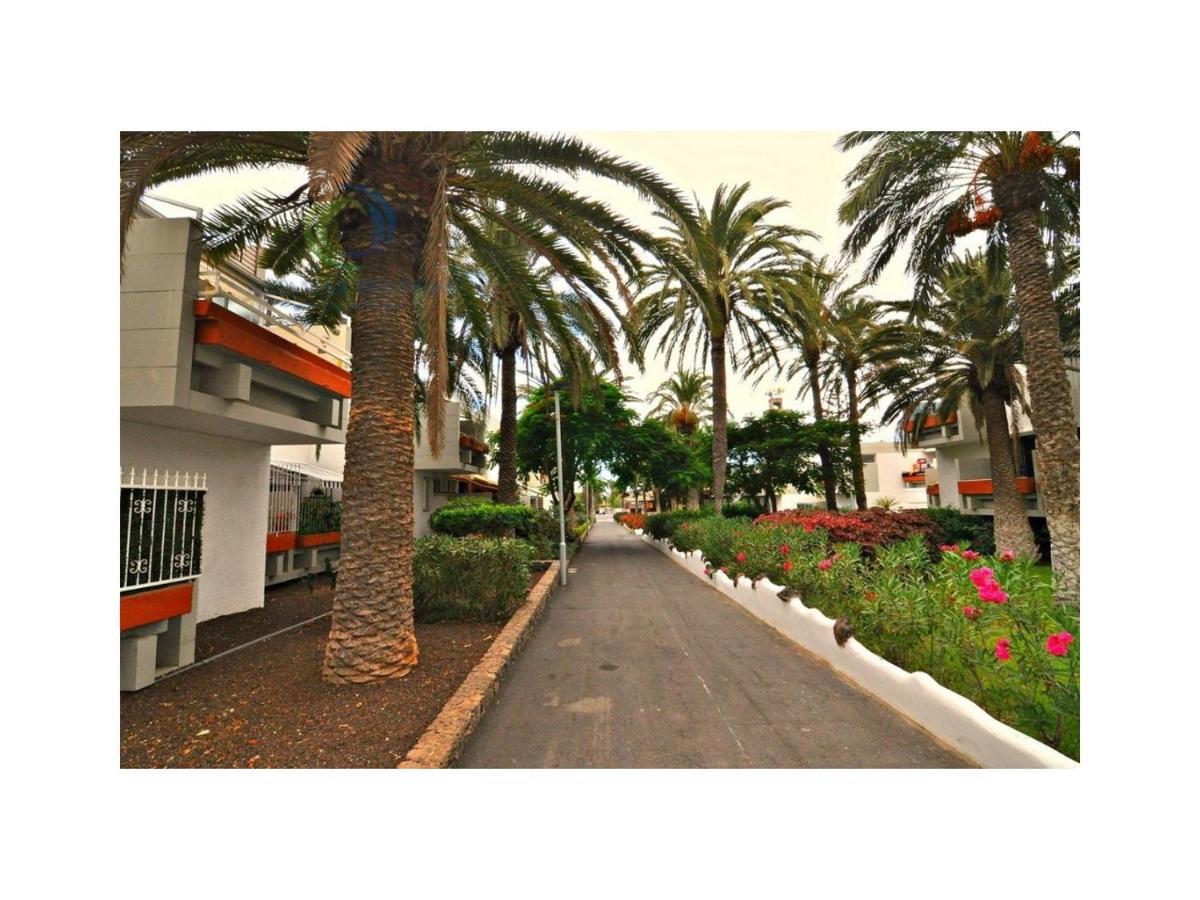 Apartamento Primavera Costa del Silencio Esterno foto