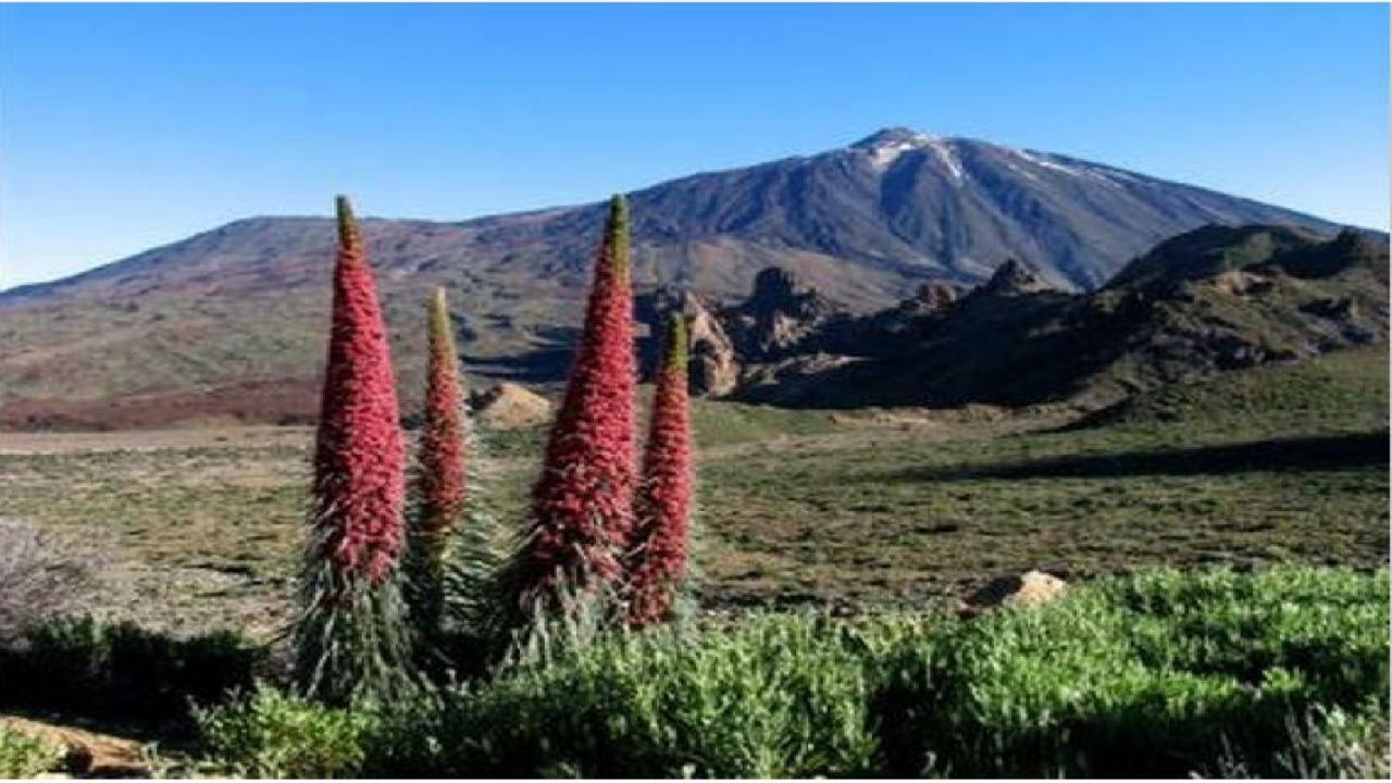 Apartamento Primavera Costa del Silencio Esterno foto